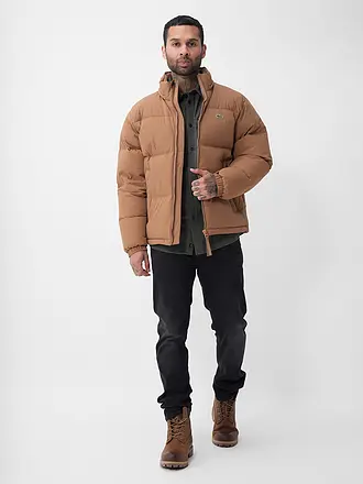 LACOSTE | Chaqueta acolchada de plumón | braun